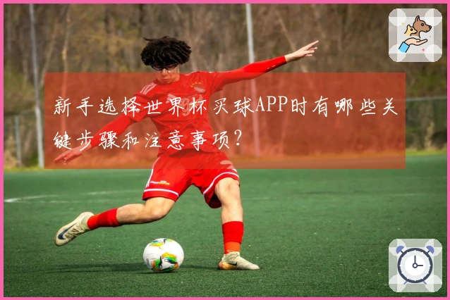 新手选择世界杯买球APP时有哪些关键步骤和注意事项?